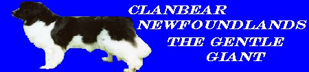 clanbear banner